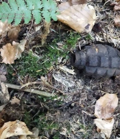 Міна, снаряди та граната: на Львівщині знайшли ще 4 застарілі боєприпаси