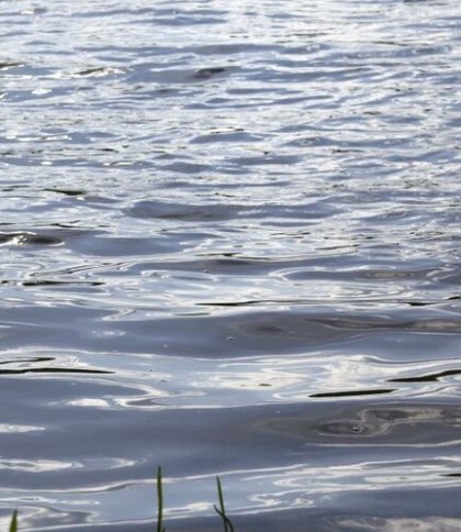 У Львівській громаді очистять три забруднених водойми