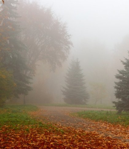 У Львові та області 9 листопада туман, дощ і обмеження видимості