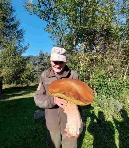 У Карпатах знайшли гриб-гігант вагою 3 кілограми (фото)