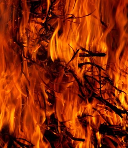 У Червоноградському та Яворівському районах гасили пожежі сухостою
