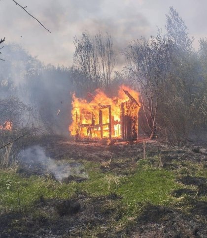 На Львівщині створять групи реагування через зростання втричі кількості пожеж в екосистемах
