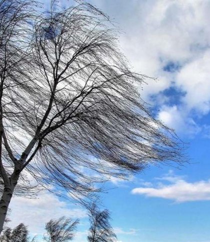 Прогноз погоди: сильний вітер у Львові та області 27–29 жовтня
