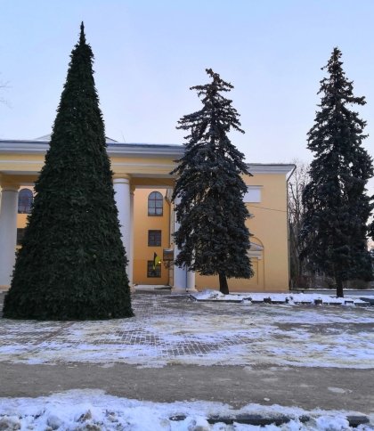 У Дрогобичі встановили різдвяну шопку та ялинку