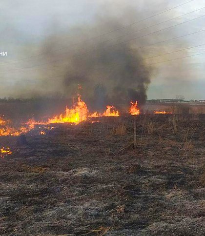 За добу на Львівщині гасили 34 пожежі сухостою