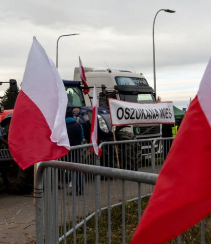Польські фермери продовжують виступати проти імпорту агропродукції з України, фото ілюстративне