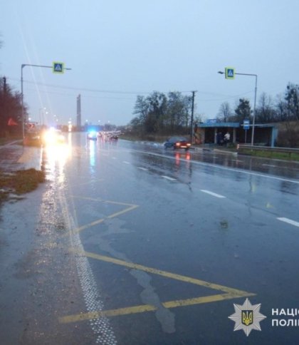 Водія вантажівки засудили за ДТП із загиблим пішоходом на Львівщині