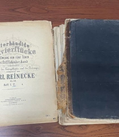 У Рава-Руській прикордонники виявили в салоні Škoda сторічні книги