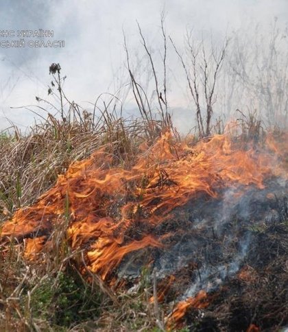 У Львівському районі рятувальники гасили пожежу: горіла суха трава та чагарники