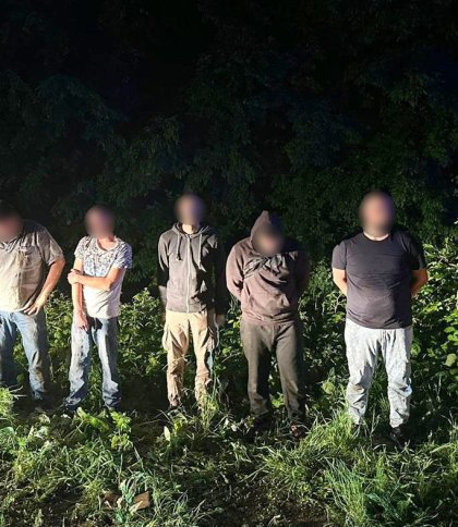 На кордоні з Румунією прикордонники з попереджувальними пострілами затримали чотирьох ухилянтів