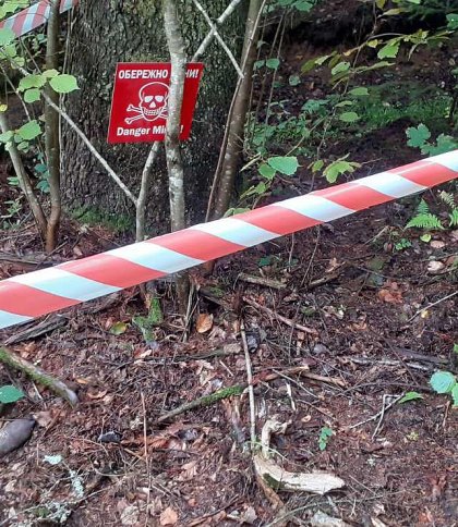 Пішли в ліс за грибами, а натрапили на застарілі снаряди: на Стрийщині знайшли небезпечну знахідку