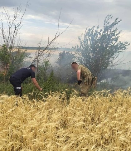 На Херсонщині врятували поля із зерновими, які ледь не згоріли через обстріли російських військових