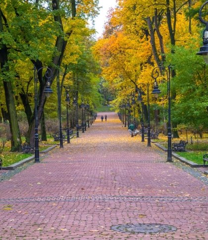 У Львові у парку Франка завершують облаштовувати доріжку