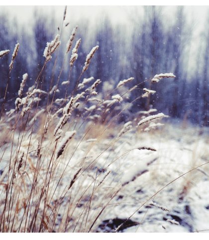 Мокрий сніг та ожеледиця: якою буде погода на Львівщині 6 січня