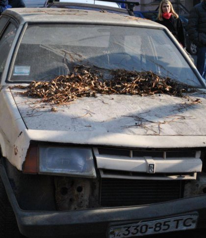 У Львові затвердили процедуру вилучення занедбаних автомобілів з паркомісць