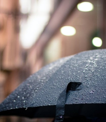 Незамінний аксесуар Львова: обираємо парасолю