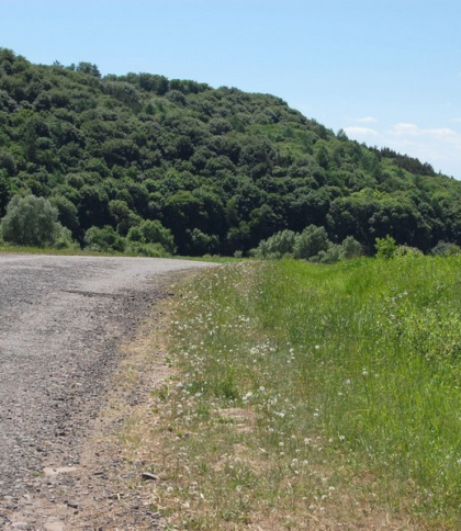 На Львівщині створять ще один Національний природний парк