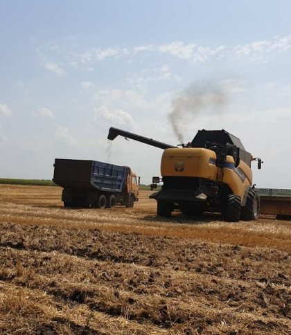 Армія рф викрала зерна та олії на понад 613 млн доларів