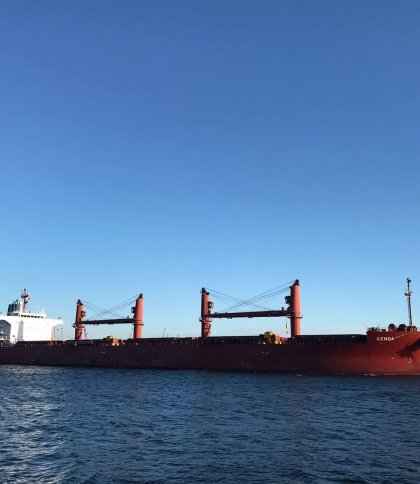 Ще 8 суден з агропродукцією вийшли з українських портів сьогодні