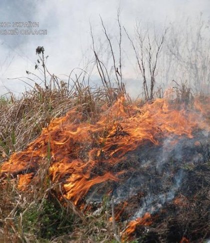 На Львівщині збільшилась кількість пожеж сухостою