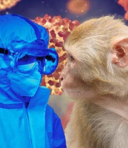 У ВООЗ повідомили, що поширення мавпячої віспи у світі не є надзвичайною ситуацією