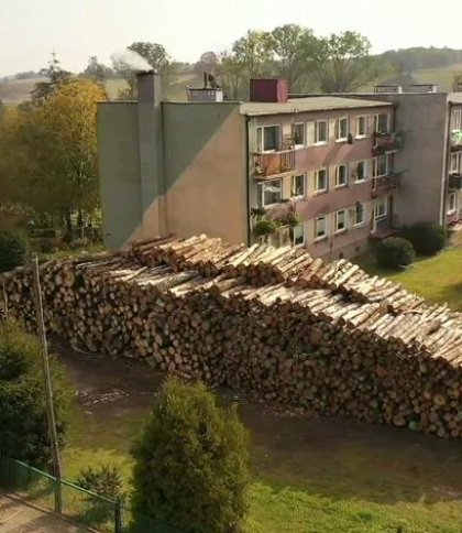 Підготувались до зими: в одному із польських сіл мешканці закупили запас дров на весь опалювальний сезон