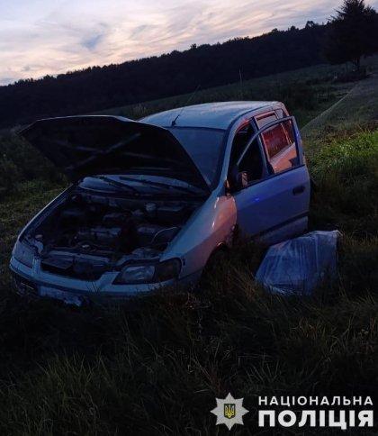 ДТП на Стрийщині: водій Mitsubishi загинув на місці