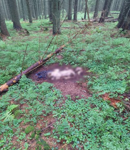 Знайдений у Карпатах скелет належить 29-річному львівʼянину