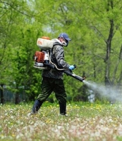 Обробка парків Львова від кліщів 22-23 вересня: графік і список зон