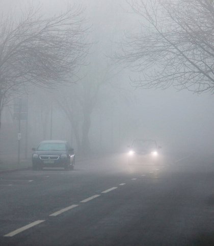 Заморозки та туман: якою буде погода на Львівщині 20 квітня