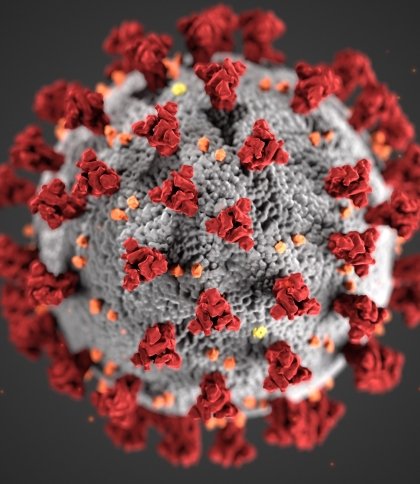 Рак допоміг чоловіку вилікуватися від ВІЛ: вірус побороли стовбурові клітини