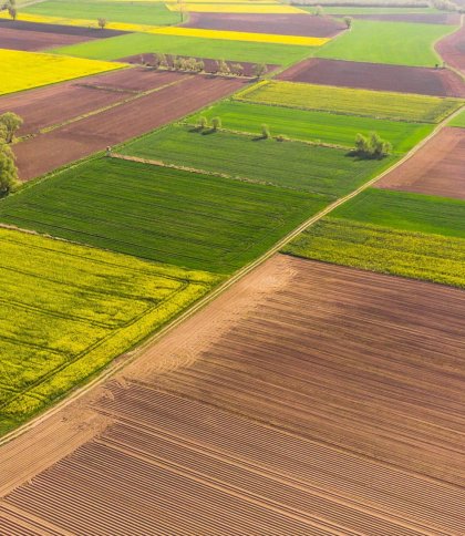 На Золочівщині суд конфіскував землі у громадянки Росії