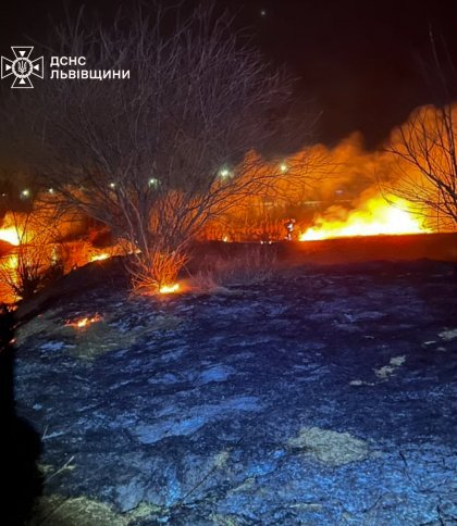 На Львівщині за добу рятувальникам довелось гасити майже сто пожеж сухої трави