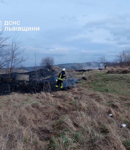 На Львівщині за добу сталося 16 пожеж сухої трави