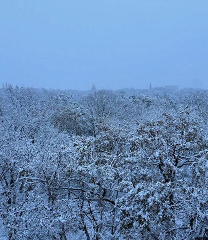 На Львівщині 24 листопада синоптики прогнозують мокрий сніг та ожеледицю