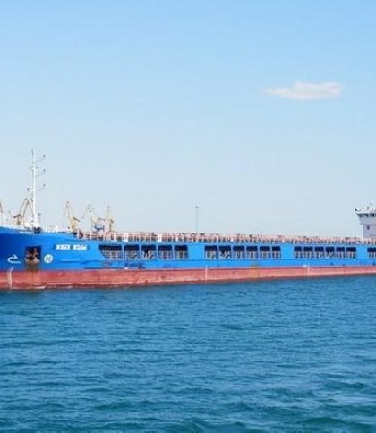 Туреччина відпустила російський корабель із викраденим з України зерном