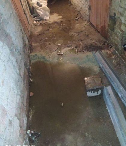 Водоспад у підвалі: львів’яни скаржаться на затоплені підвали та квартири