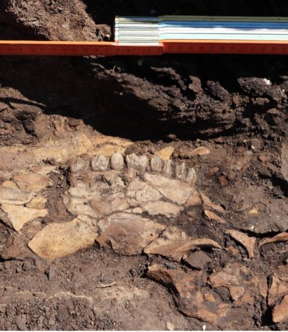 Історичний поворот на чверть мільйона років назад: дослідники знайшли унікальні археологічні пам’ятки