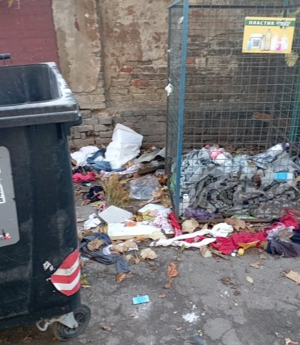 «Щури, голуби, безхатьки»: львів’яни скаржаться на антисанітарію на смітниках
