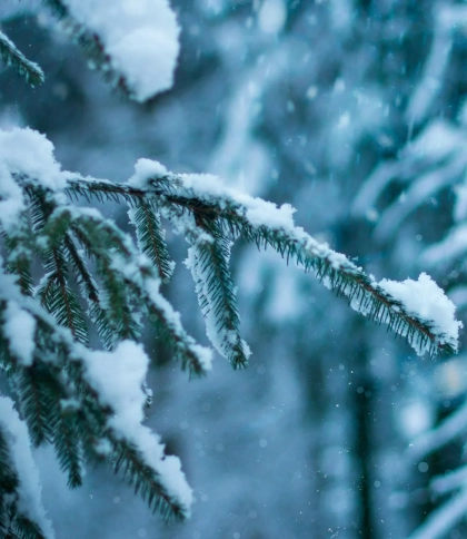 Прогноз погоди у Львові 27 листопада