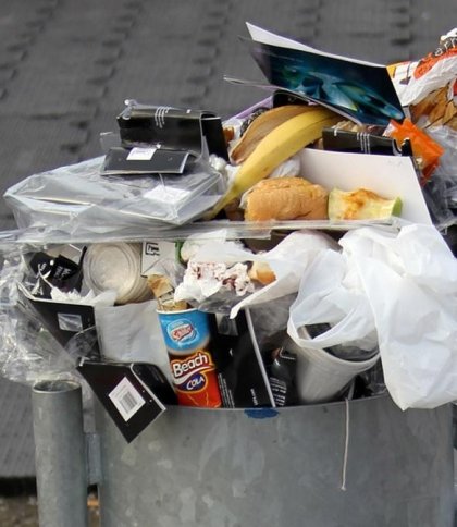 Зустріли 1 вересня зі сміттєзвалищем: поблизу львівського ліцею виявили купу сміття