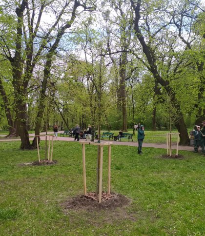 У парках Львова висадили дерева подаровані містянами