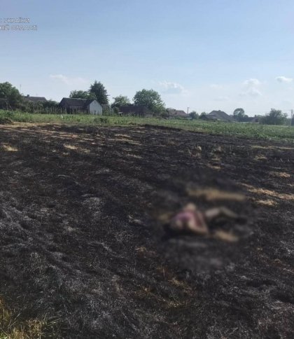 Палила сухостій: у селі неподалік Львова в пожежі загинула літня жінка