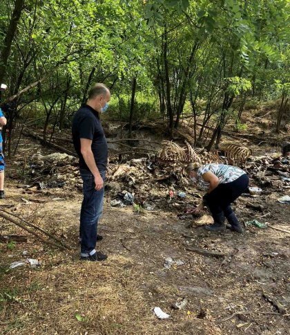 Забрудення землі рештками тварин у Червонограді: почали розслідування