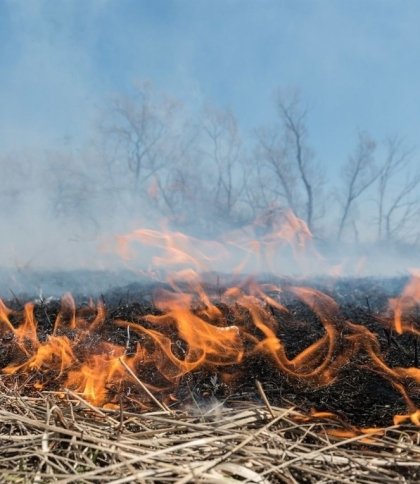 Сезон паління трави: на Львівщині у вогні загинуло вже двоє людей