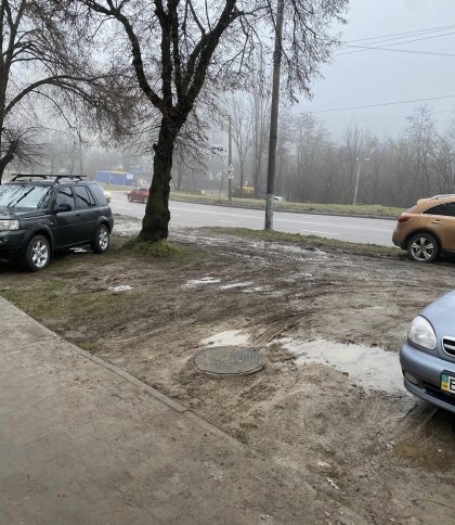 Замість трави тепер багнюка: у Львові водії знищили газон на вулиці Пасічній (фото)
