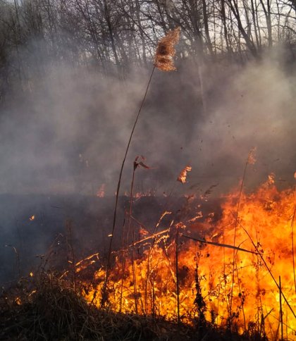 На Львівщині за одну добу згоріло понад 17 га сухої трави