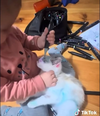 В Буську оштрафували батька дівчинки, яка розмалювала кота фломастерами