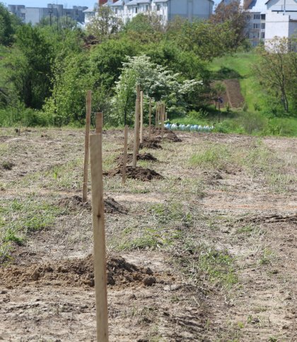 У Дрогобичі з’явиться Парк Нескорених