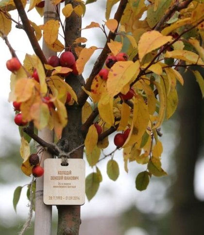 У Львові висадили 96 дерев на честь загиблих захисників України